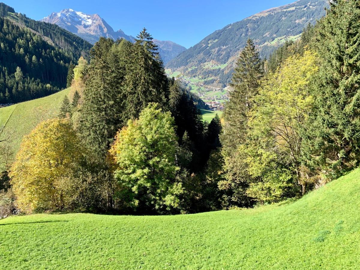 Natur Zeit - Alpine Garden Apartments Mayrhofen Εξωτερικό φωτογραφία