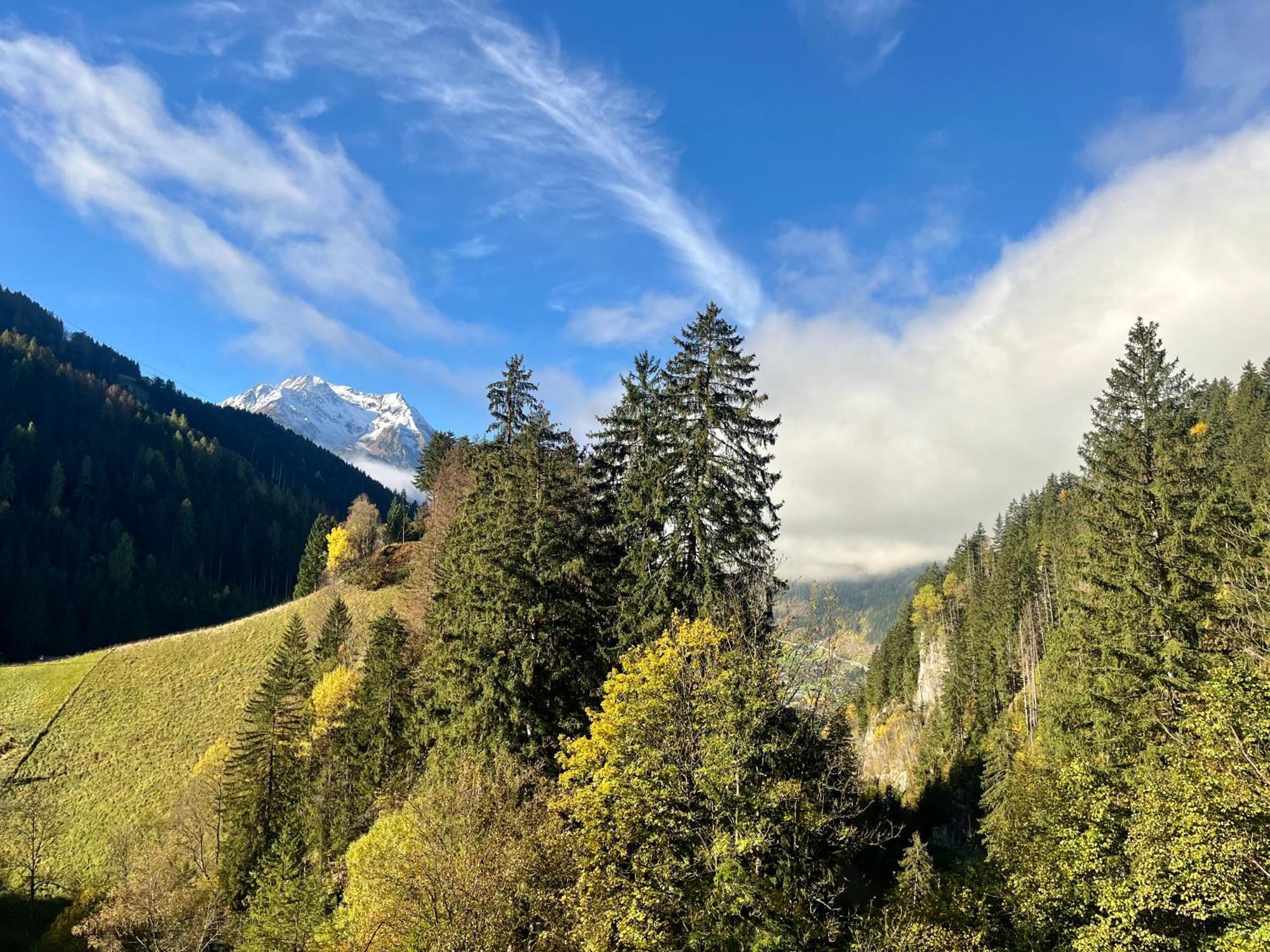 Natur Zeit - Alpine Garden Apartments Mayrhofen Εξωτερικό φωτογραφία